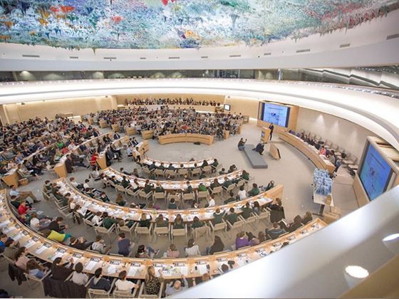 США будут претендовать на место в Совете ООН по правам человека